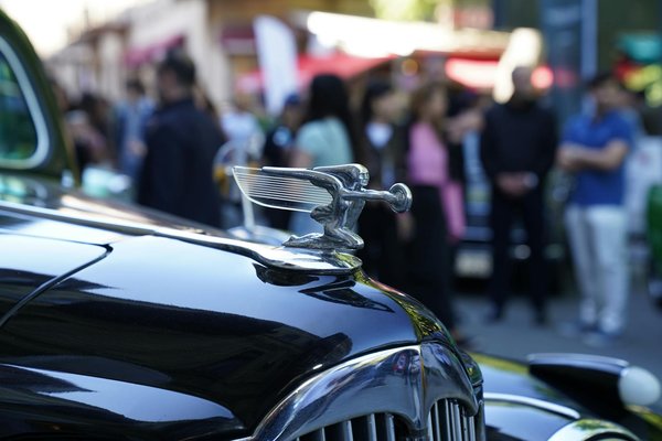 Les Top Remorques Incontournables pour le Transport Sécurisé de Vos Animaux